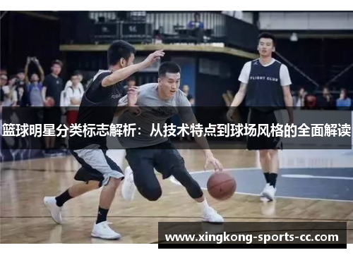 篮球明星分类标志解析：从技术特点到球场风格的全面解读